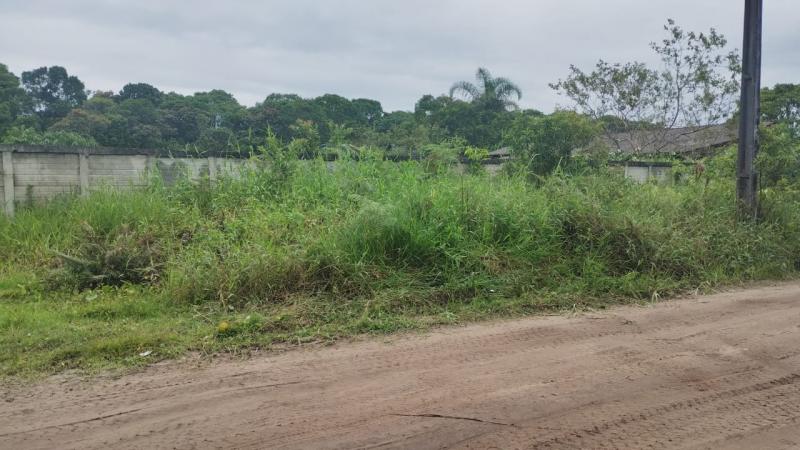 QUATRO TERRENOS JUNTOS NO NEREIDAS. - Cavalheiro Imóveis