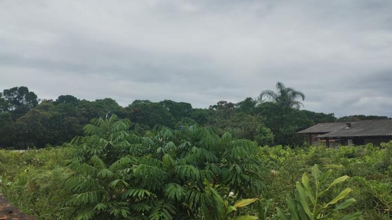 QUATRO TERRENOS JUNTOS NO NEREIDAS. - Cavalheiro Imóveis