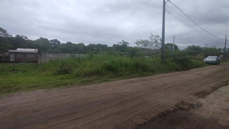 QUATRO TERRENOS JUNTOS NO NEREIDAS. - Cavalheiro Imóveis