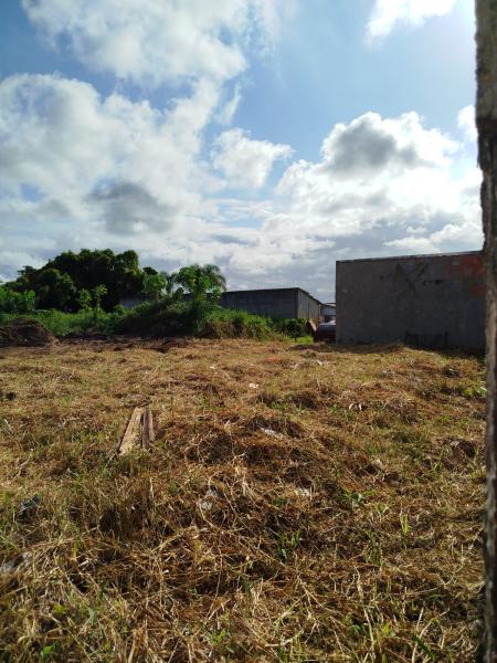 TERRENO PRONTO PARA CONSTRUIR NO COHAPAR, ATERRADO. - Cavalheiro Imóveis