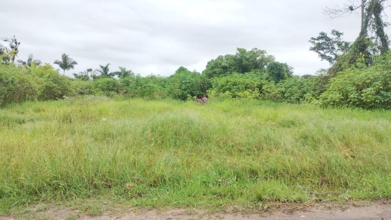 TERRENO DE FRENTE PARA A RUA WENCESLAU BRAZ. - Cavalheiro Imóveis