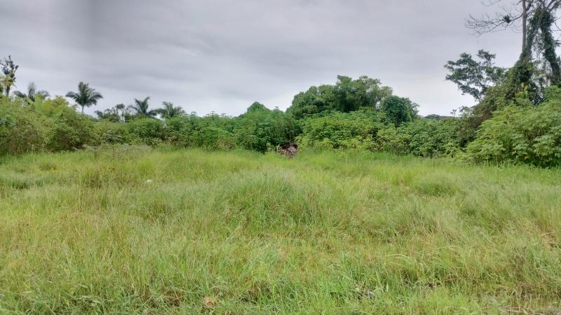 TERRENO DE FRENTE PARA A RUA WENCESLAU BRAZ. - Cavalheiro Imóveis
