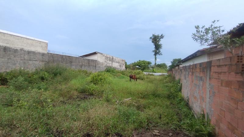 TERRENO AMPLO NO BAIRRO COHAPAR - Cavalheiro Imóveis